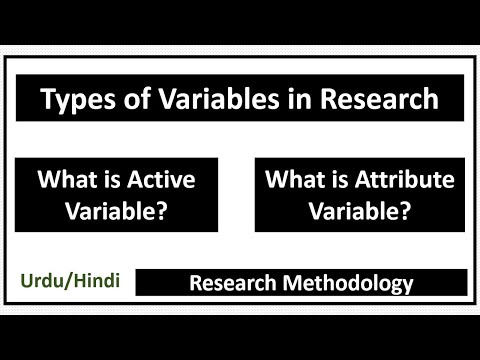 What are Active Variables and Attribute Variables in Research?