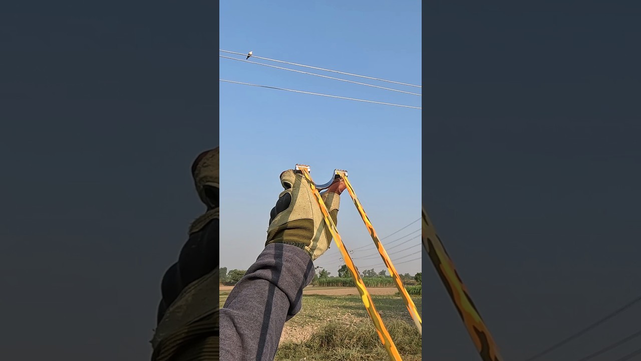 Интенсивная охота с рогаткой – 8 птиц и идеальное приключение в поле 4K 