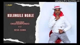 Maskandi, kulungile ngale by inkunzi engenampondo f.t Sesa Zuma #trendingsong #viralvideo