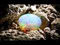 La fascinante opale