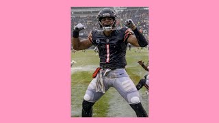 The Bears Have A Bright Future