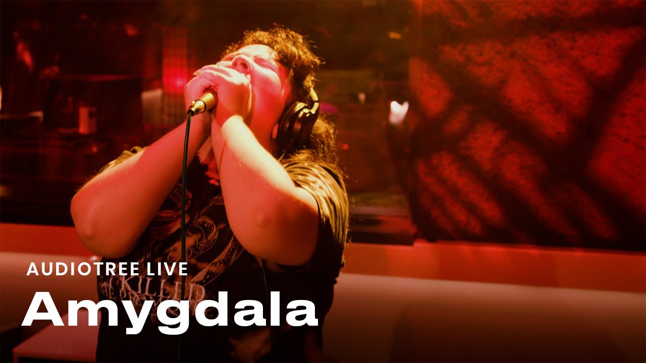 Watch Amygdala on Audiotree Live (Full Session) on YouTube Watch Amygdala on Audiotree Live (Full Session) on YouTube