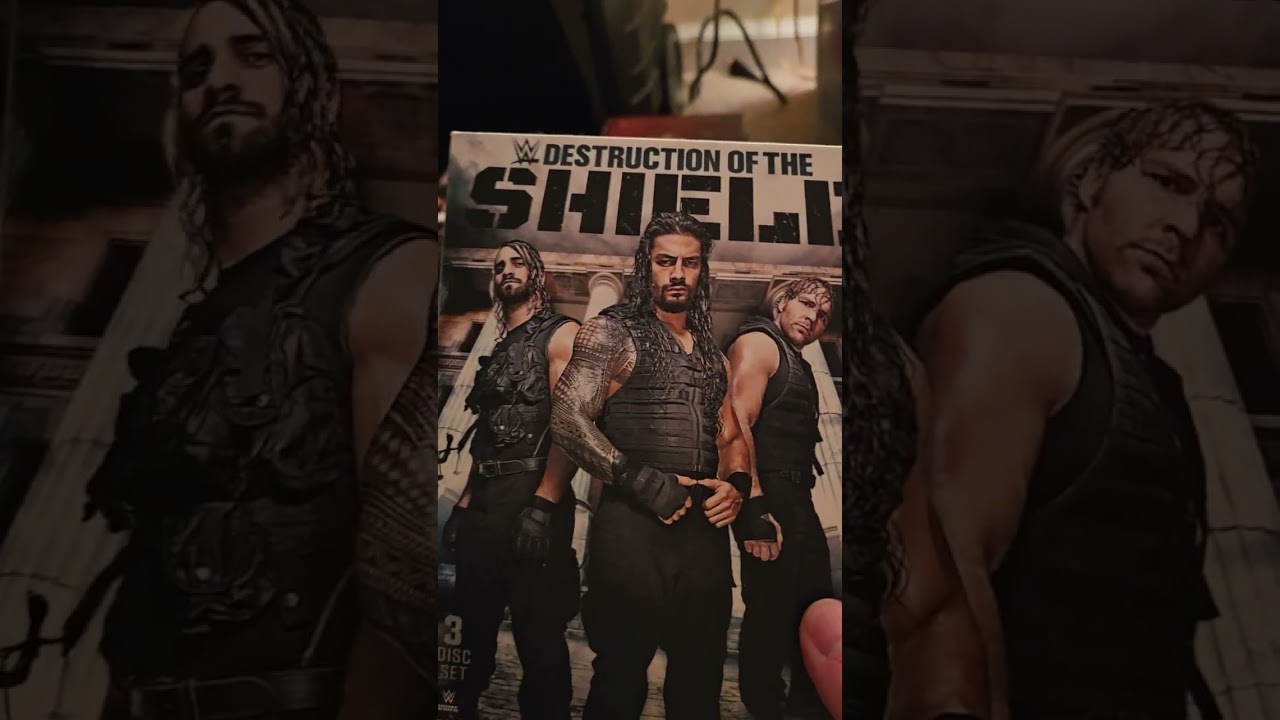 My  wwe DVD collection  pot 2.