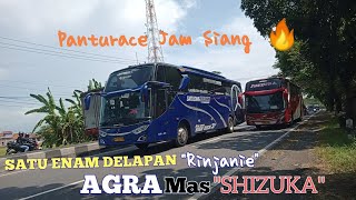 PANTURACE JAM SIANG‼️Bus PO Satu Enam Delapan Rinjanie vs Bus PO Agra Mas Shizuka