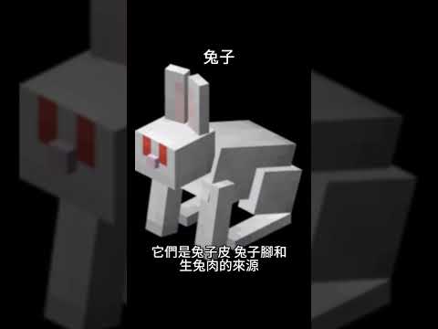 #minecraft  兔子 #麥塊 #我的世界