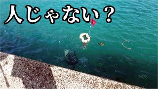 防波堤で投げ釣りをしていたら爺ちゃん掛かって浮いてきた【驚愕】