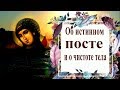 Об истинном посте и о чистоте тела - Пастырь Ерма