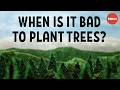 Does planting trees actually cool the planet  carolyn beans