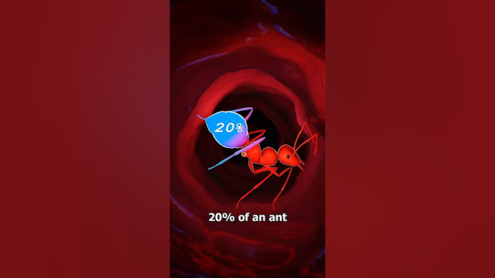 How Many Ants Equal A Protein Shake ?🤔 #shorts