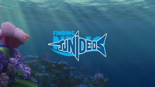 Finding Tunideos @tiagojpmachado