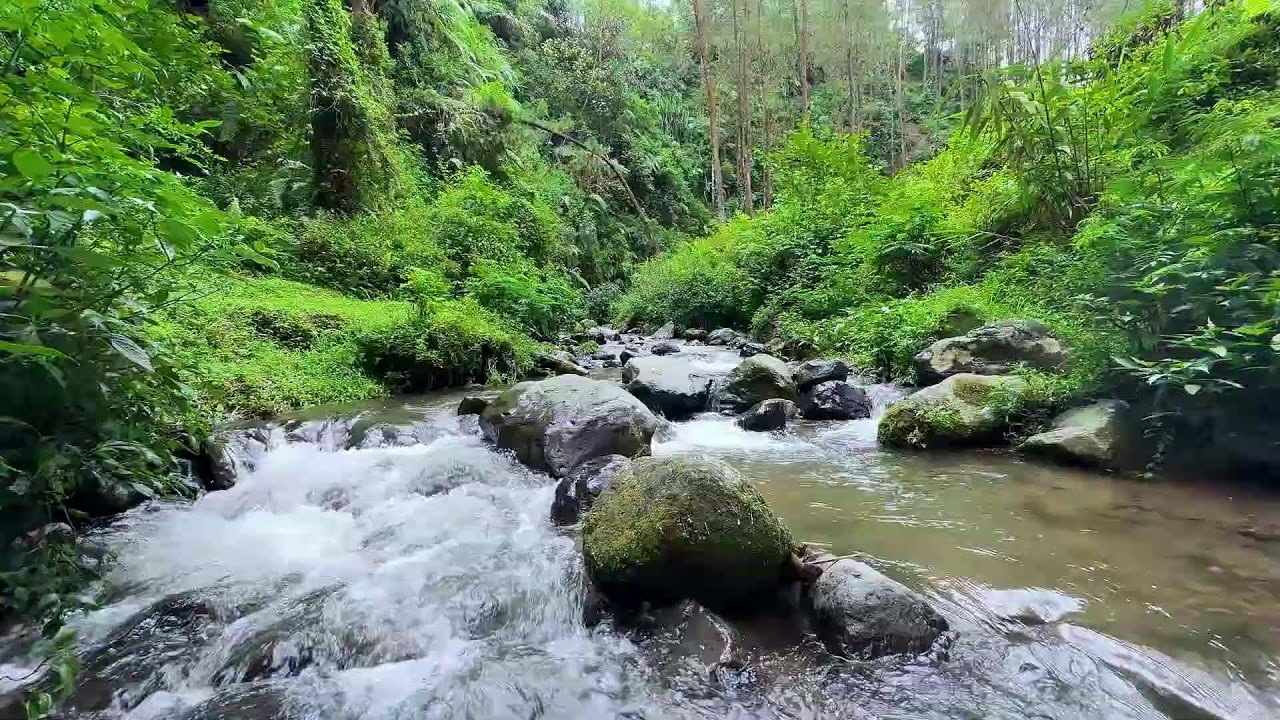 Promote healthy deep cycles with peaceful river ambience along forest water for good healing night
