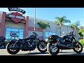 Harley-Davidson Iron 883 vs Street Rod 750│Comparison Review