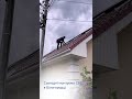 Монтуємо СЕС в Білогородці
