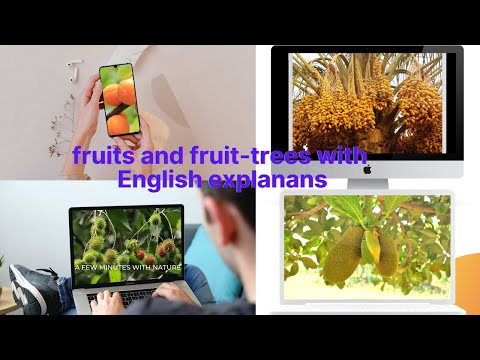 ვიდეო: პოლიფაგური მილის ჭია - ხილის ხეების მტერი