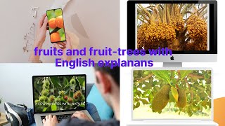 Fruits and fruit-trees| English explanation