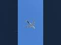 Jumbo Jet Spotted Overhead Boeing 747 | Giant Aircraft Roars Across the Sky