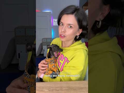 Плюсы и минусы левреток #галнилевлетка #левретка #собака
