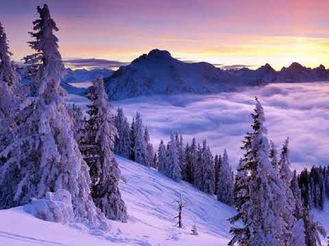 عم يتساءلون القارئ عمر الحجي