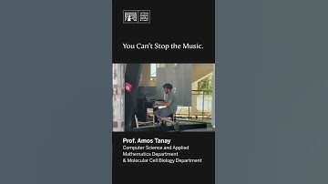 You Can’t Stop the Music