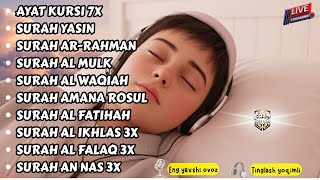 Download Lagu 安らぎのためのクルアーン朗読 – 魂を包む平和の瞬間 Alaa Aqel MP3