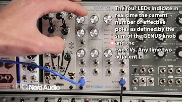 Rossum Electro-Music Evolution Demo VCF Variable Character Ladder Filter
