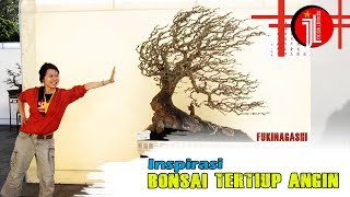 INSPIRASI Gaya Bonsai Tertiup Angin - Best Windswept Bonsai Style (Fukinagashi)