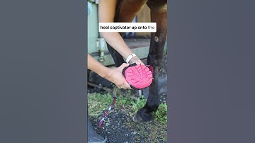 How to put on Renegade Hoof Boots