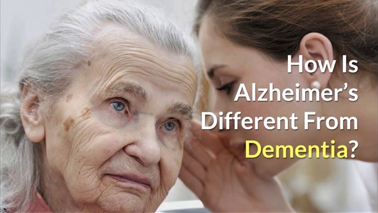 Alzheimer's vs Dementia YouTube