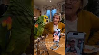 Warte, hat er gerade Pizza bestellt?! 🦜🍕 #papagei #lustig