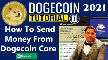 How To Send Money from Dogechain Core Wallet | Best Cryptocurrency Wallets