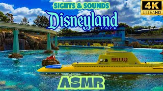 Disneyland Ambience- Sights And Sounds Of Disneylands Nemo Lagoon Disney Asmr 4K