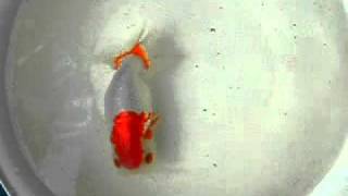 DSCN4412.MOV