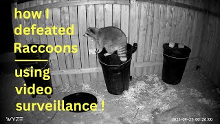 How I Defeated Raccoons ● Using Video Surveillance !