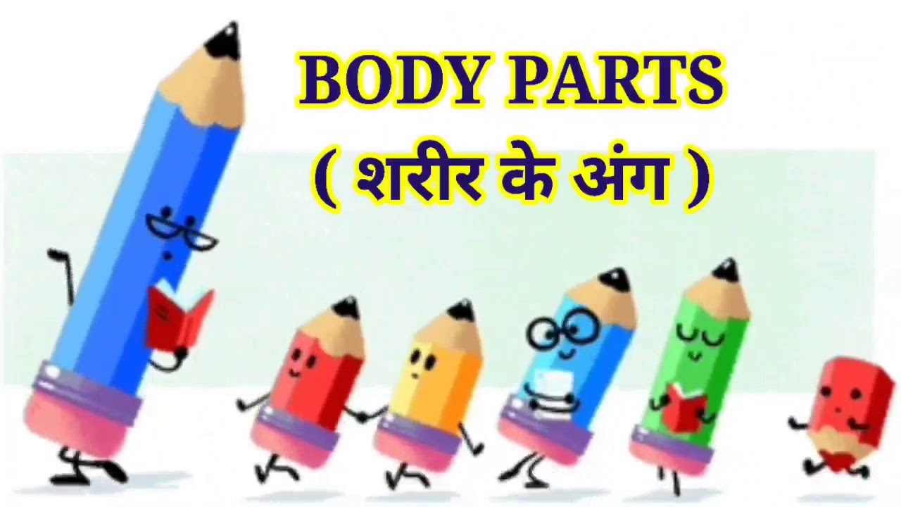 Learn body parts, शरीर के अंगों को जानें - YouTube