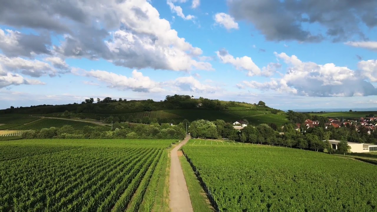 Mavic Air 2 kleine Kalmit Ilbesheim 4K