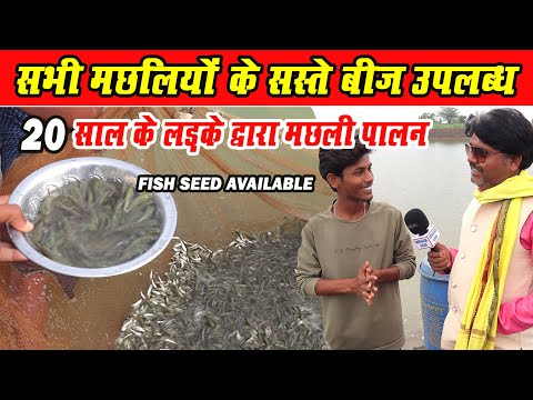 मछली का बीज (बच्चा) यहां मिलेगा ?।Fish Seed