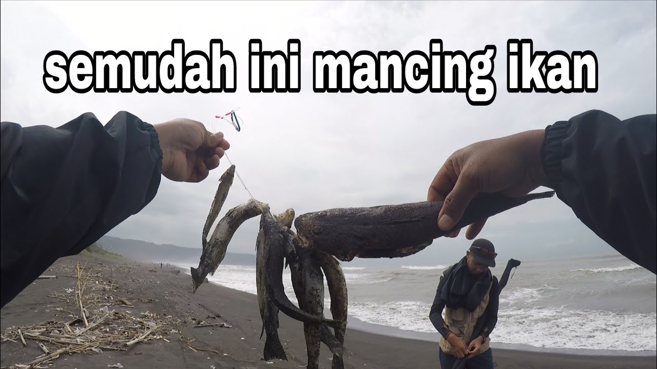 Mancing kondisi air keruh ikan makan makan