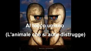 Pink Floyd:  Wearing The Inside Out - Traduzione in Italiano (testo) chords