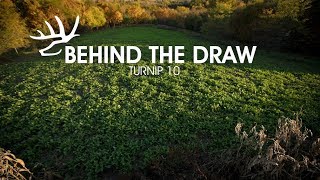 Behind the Draw S5E7 - Turnip 10