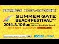 SUMMER GATE BEACH FESTIVAL 2014 CM#2