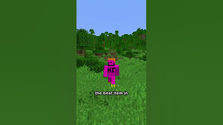 the best minecraft item you've never heard of...