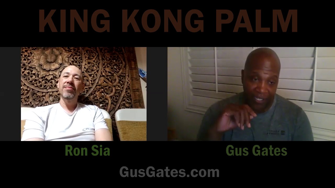 Kung Fu forms vs Combat with Master Ron and Sifu Gus