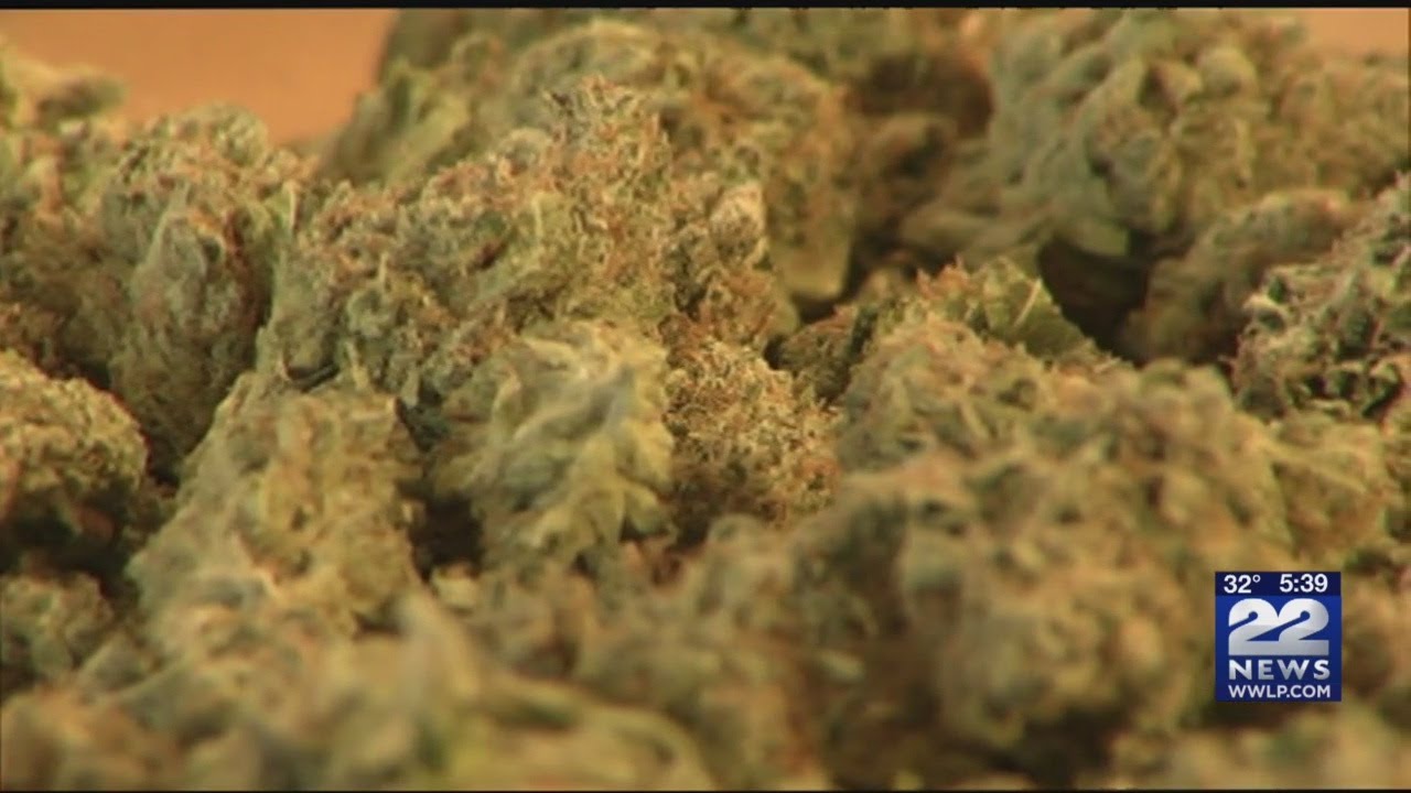 NETA in Northampton to sell recreational marijuana starting Tuesday