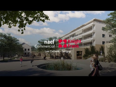 Naef Commercial Knight Frank Les Celliers Satigny Surfaces Commerciales Bureaux à Vendre 