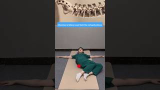 6 Home Exercises to Relieve Lower Back Pain, Leg Numbness, and Improve Mobility Naturally