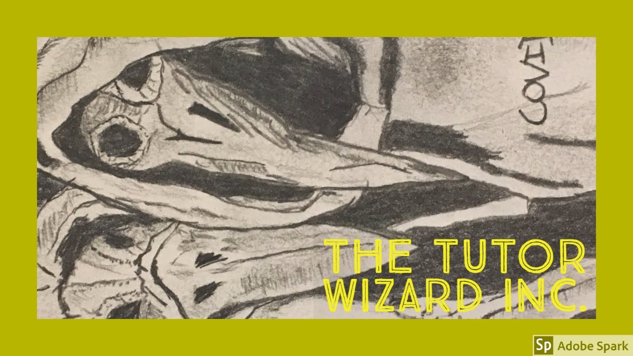 CORONAVIRUS - An SEIR-model for CoVid19