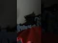 Batman and Superman #gamtng #trend #geussthesong #dccomics #fypシ゚viral #stopmotion #actionfigures
