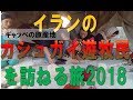 《ギャッベ産地》イランのカシュガイ遊牧民を訪ねる旅　2018