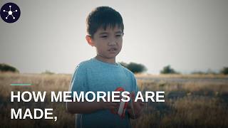 Inside Your Mind: How Memories Are Made, Stored, and Recalled