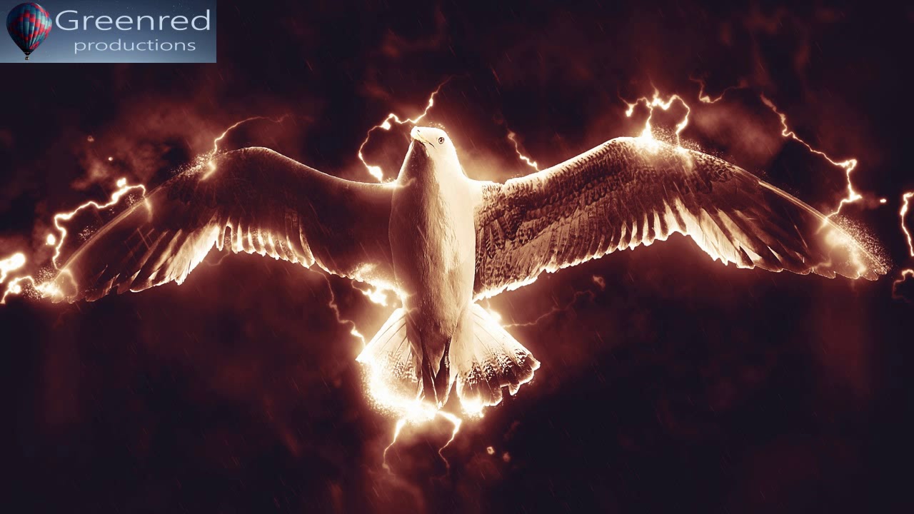 8 Hour Focus Music for Work, Concentration Music, Memory Music, Productivity Music for Focus